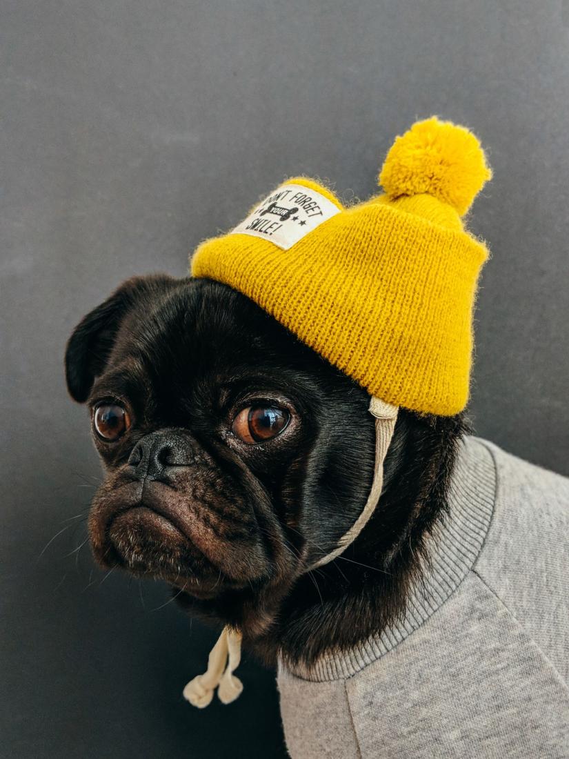 Bonnet